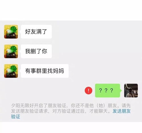 你已经被爸妈移出了群聊这硬核聊天截图实在太精彩...哈哈哈哈哈哈哈