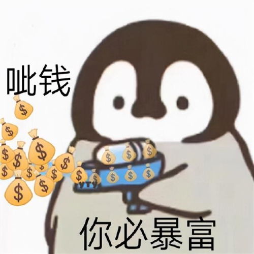 双十一,剁手吃土or创业致富