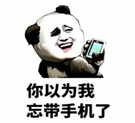 表情包哈士奇群主带来了楼上你再嚣张