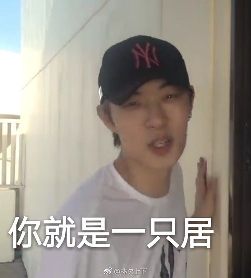 减肥打卡贴对体重管理很严格的男人,进来收获表情包