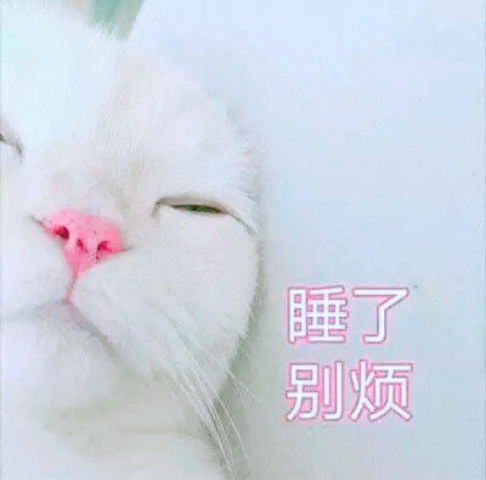 别生气表情包可爱表情包