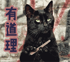 文玩也有段位