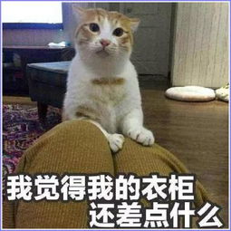 不会表白表情包帮你见到你之后,人家的小鹿就得了脑震荡