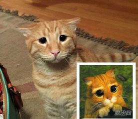 自拍为何能位居亚洲四大邪术榜首