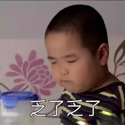 新一代表情包霸主谢飞机的日常