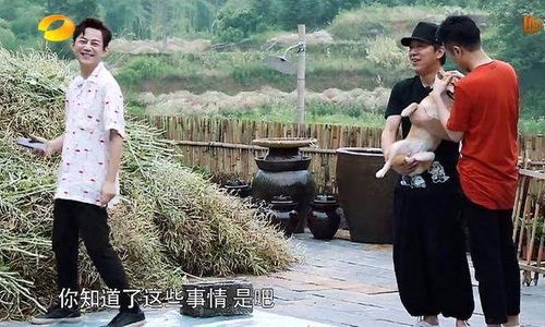 黄渤的名字在节目中出现多次,徐峥调侃他是小短腿,黄渤耿耿于怀