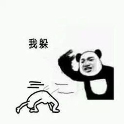 哦哦哦哦你麻痹哦