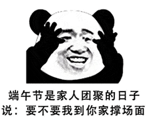 抖音超火的30个表情包端午节到了,我给你包了个粽子