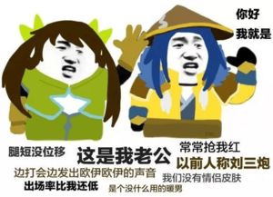 英雄之间如何介绍,可以说是肥肠豹笑了