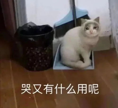 3.23表情包丨我能有什么坏心眼呢