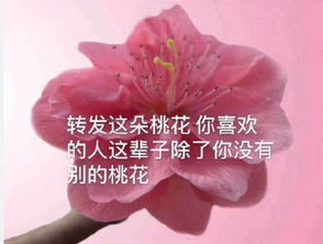 男友不听话表情靓仔千千万,不行咱就换