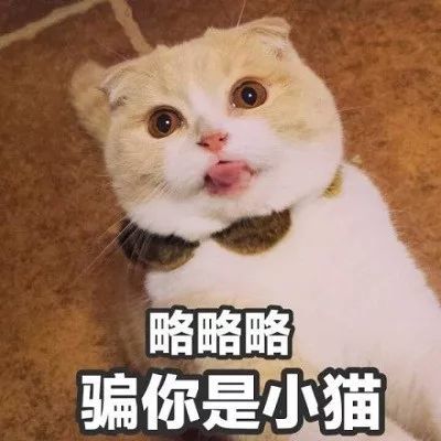 表情包小可爱超萌嘴硬