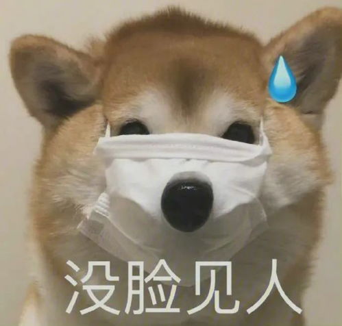 表情包猛女害羞