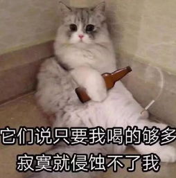 段子你为什么失业我也不知道,主要是公司搬家了没人告诉我地址