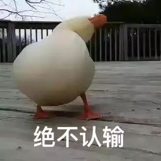 新老生交流会