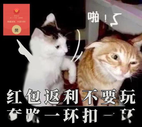 太萌了公安紧急发布这组表情包,一定要转发到家庭群里