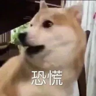 表情包王一博表情包动图高清0923期