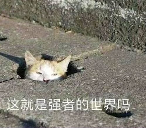 王者荣耀辅助对线及团战意识