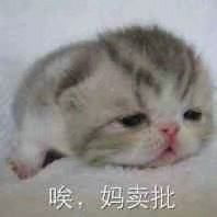 抱头苦笑表情包