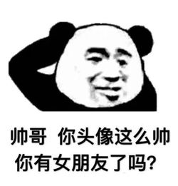 表情包等我剪个空气刘海迷死你