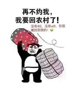 烧火的表情包农村