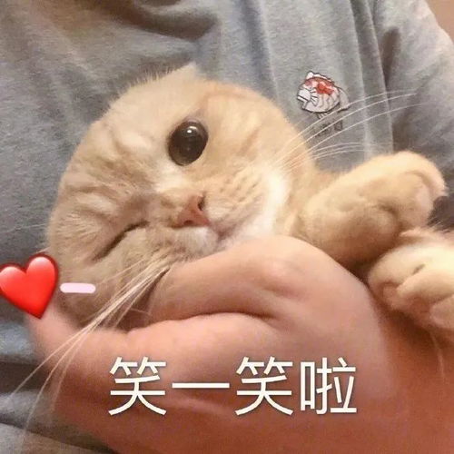 表情包让我好好爱你行不