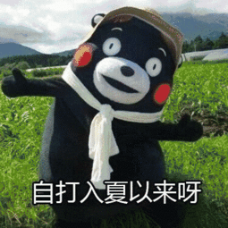 夏日狂欢季,等你来嗨皮