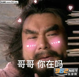 哥哥你在吗张飞图片张飞哥哥在吗系列表情包下载乐游网游戏下载
