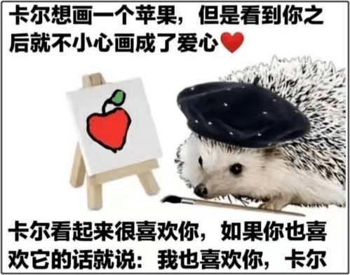 这只爱发黄图的刺猬,是怎么变成表情包顶流的
