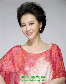 50岁女人盘发发型图片大全