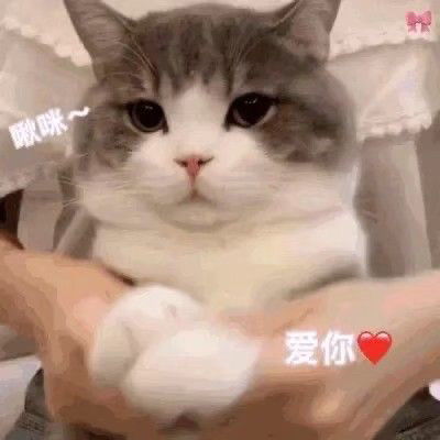 男孩子也会喜欢的可爱表情包