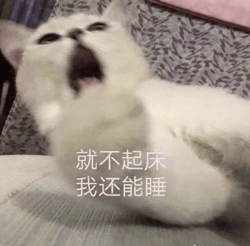 她是首个央视直拍比直播还美的人吧,脸上的金钱味都溢出屏幕了