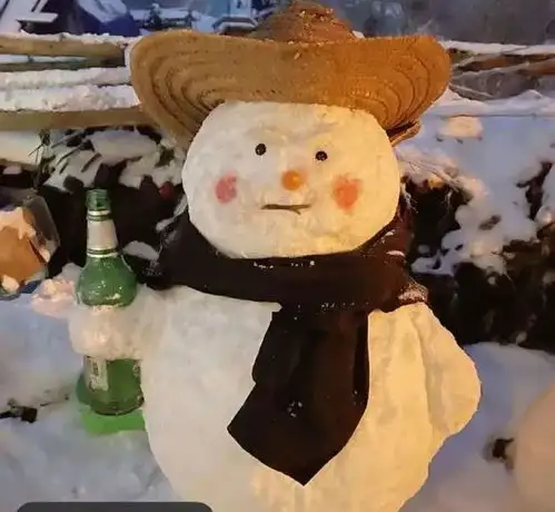 这些才是阳间的雪人嘛每一个都好可爱像是从动画片里走出来的