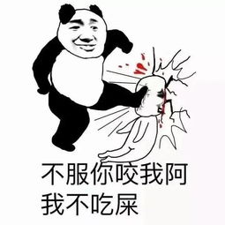 每日表情聊天逗比表情
