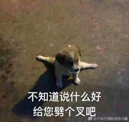 如何评价上海地区模联人张亦弛