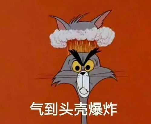 哈哈哈哈,这个新手司机的车火了