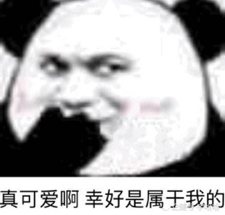 专业土味情话撩不到你算我输