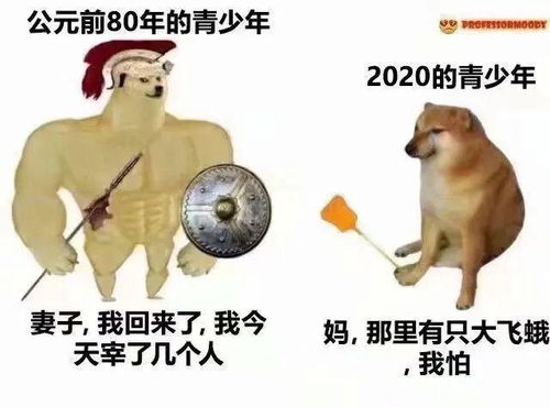 这家店应该生意不错吧