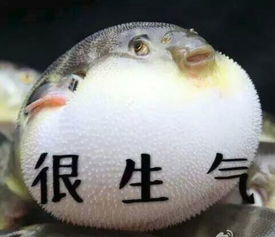 敢为人鲜的顺德人,你一定要试试这一味
