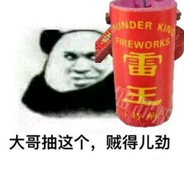 南非有春运吗如果有,南非政府和交通是怎样解决的