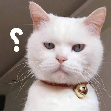 女人的嘴,骗人的鬼熊猫头骗人熊猫女人表情