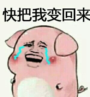 微信变猪喷雾表情包回应