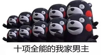 嗨起来表情包兰兰
