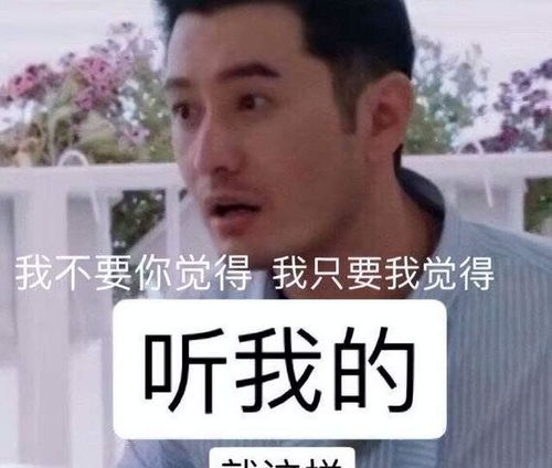 不愧是芒果台没有何炅汪涵,照样打造顶级综艺