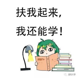湖大人期末复习专用表情包,总有一款适合你