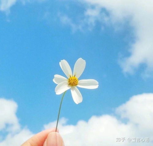 40岁至50岁微信头像风景追逐