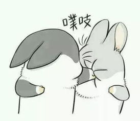 情侣头像表情包一对可以做情侣头像的可爱表情图片分享