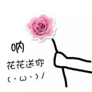 周末这里乌泱泱全是人呀,都是冲他们来的