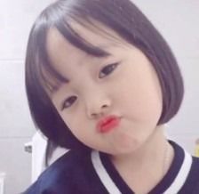我的收藏夹