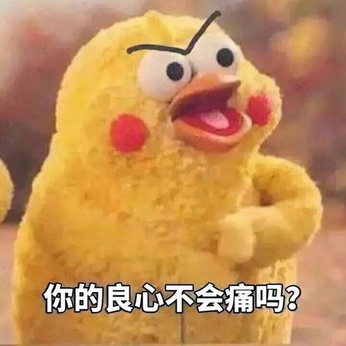 表情包53丨今天搬砖不狠,明天地位不稳